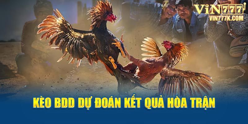 Kèo BDD dự đoán kết quả hòa trận